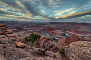 Dead Horse Point, Southern Utah landscape photography print by Rob's Wildlife