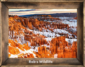 SNOWFALL AT BRYCE CANYON, Red Rock in winter