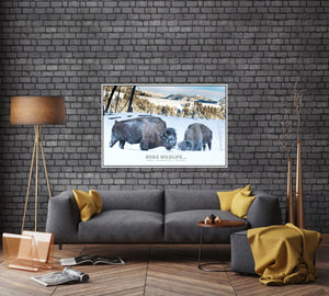 buffalo in the snow, rustic wall art