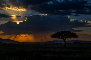 African Sunset 022016-0700