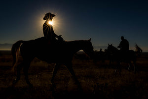 Cowboy Riding Horse, Cowboy Silhouette by Robs Wildlife