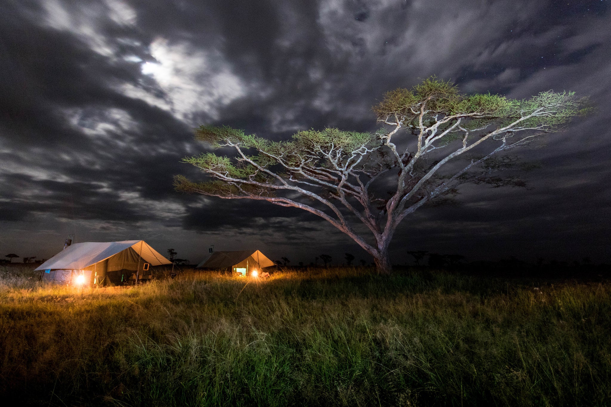 SERENGETI CAMPING, Camping Nightscape Photography by Rob's Wildlife
