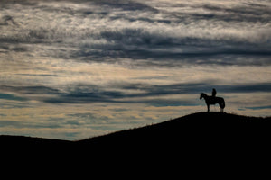 Cowboy on Ridge, Cowboy Silhouette Art by Rob's Wildlife