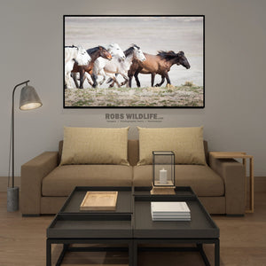 Horse photography art by Rob's Wildlife