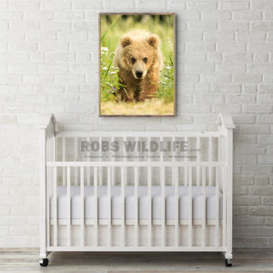 Baby Bear Art for nursery, animal theme nursery by Rob's Wildlife