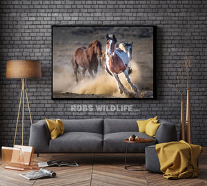 Galloping Paint Horse, Wild Mustang, Horse Photography by Rob's Wildlife
