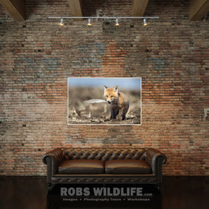 Woodland Animal, Wildlife Wall Art on brick wall
